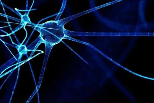 Fibromyalgie et massage sonore Peter Hess
