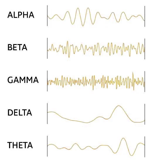 brainwaves types 1