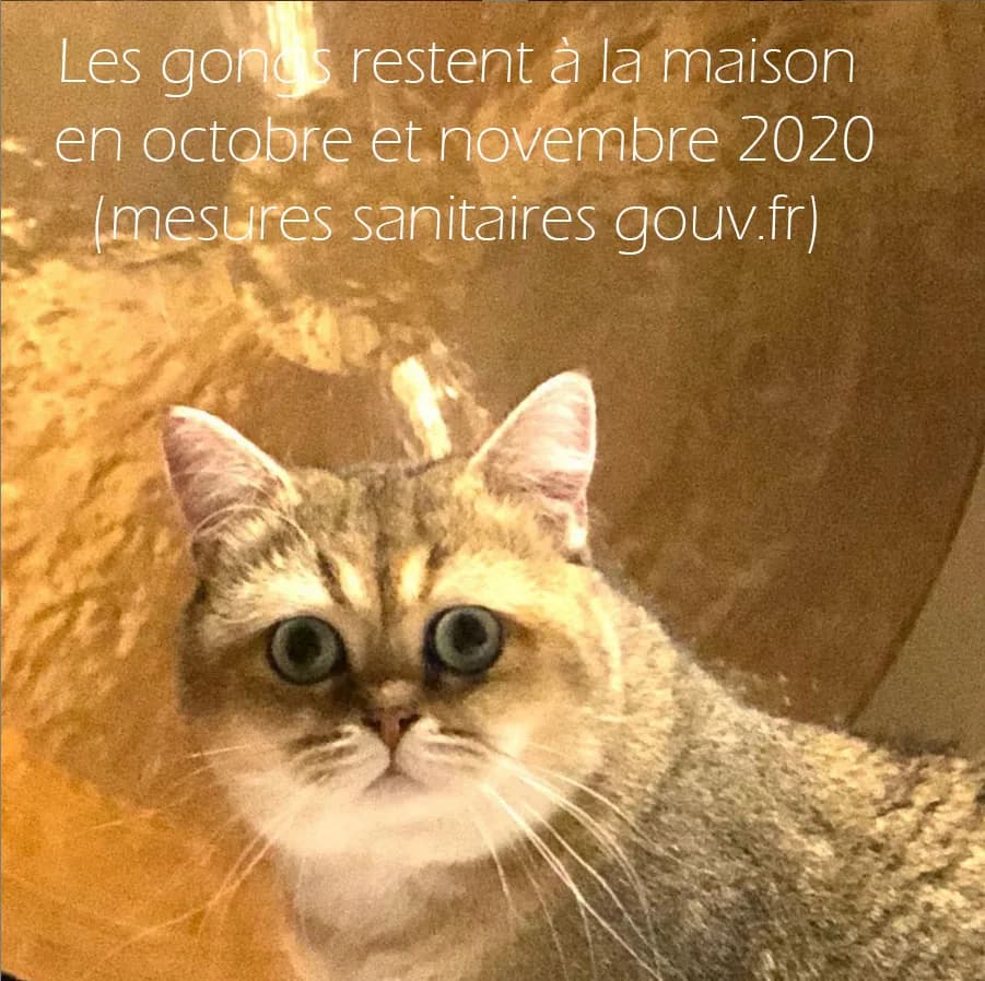 Annulation et report des bains de gongs d'octobre et novembre 2020