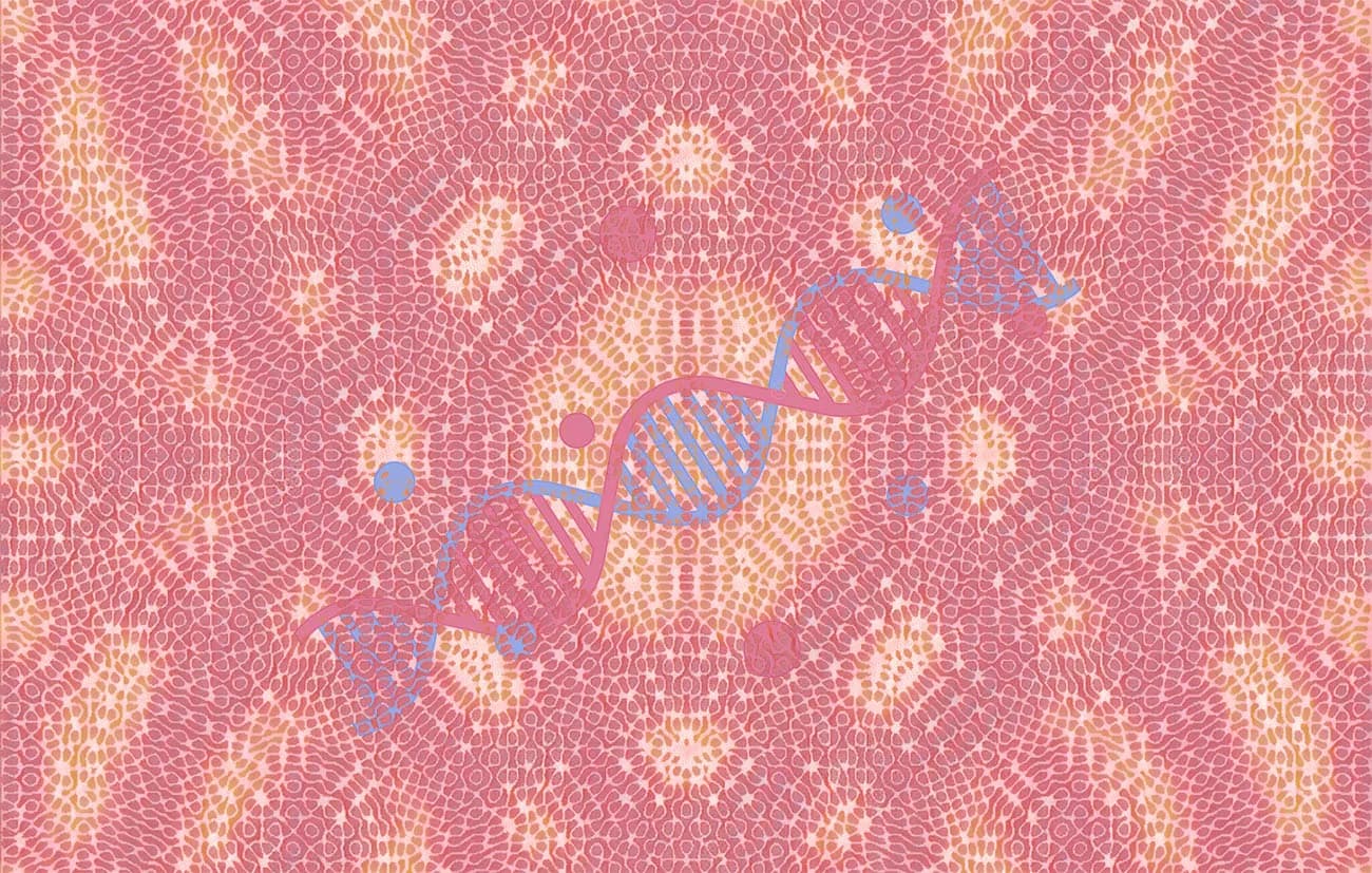 Influence du son sur les protéines membranaires et l'ADN