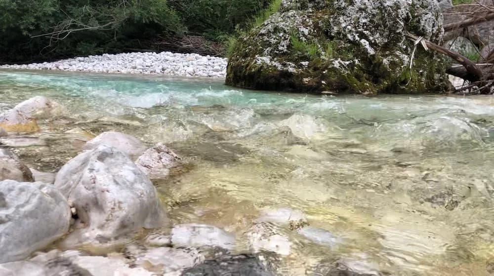 « L'eau est une piste magnétique liquide » (Jacques Benvéniste)