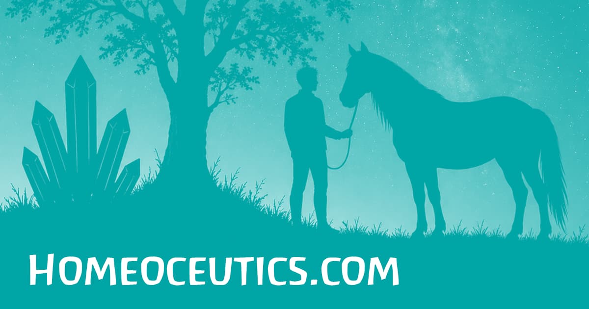 Lancement de l'annuaire Homeoceutics